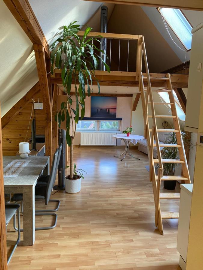 דרזדן Helles Und Charmantes Loft Mit Herrlichem Blick מראה חיצוני תמונה