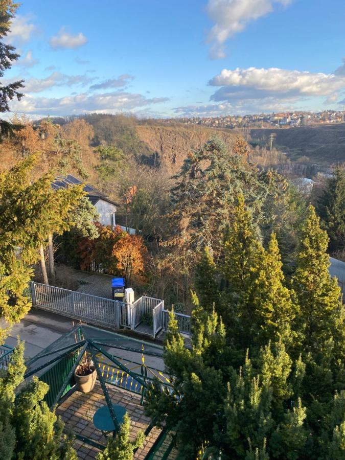 דרזדן Helles Und Charmantes Loft Mit Herrlichem Blick מראה חיצוני תמונה