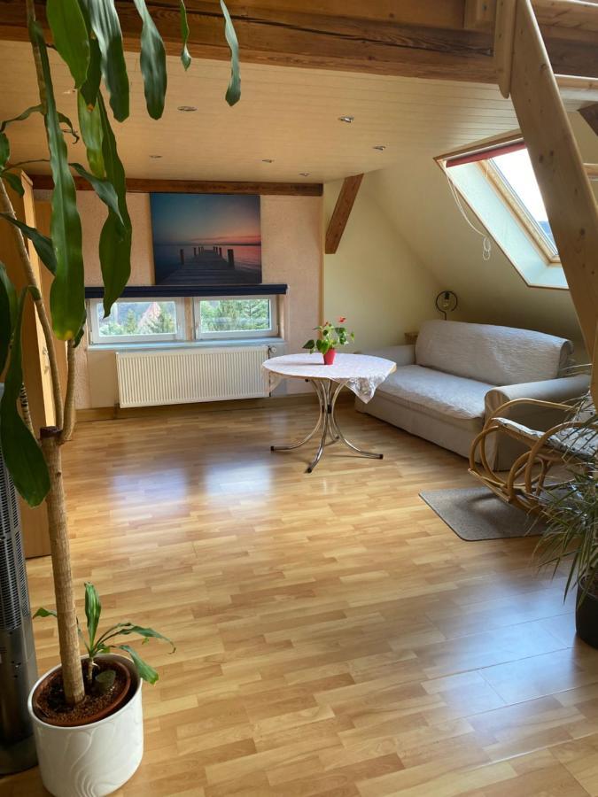 דרזדן Helles Und Charmantes Loft Mit Herrlichem Blick מראה חיצוני תמונה