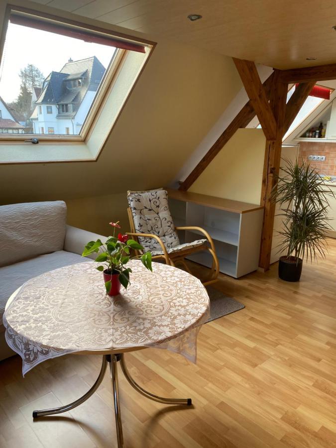 דרזדן Helles Und Charmantes Loft Mit Herrlichem Blick מראה חיצוני תמונה