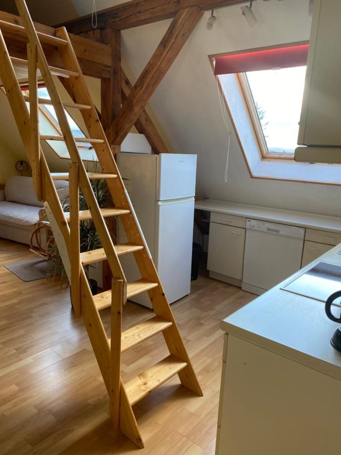 דרזדן Helles Und Charmantes Loft Mit Herrlichem Blick מראה חיצוני תמונה