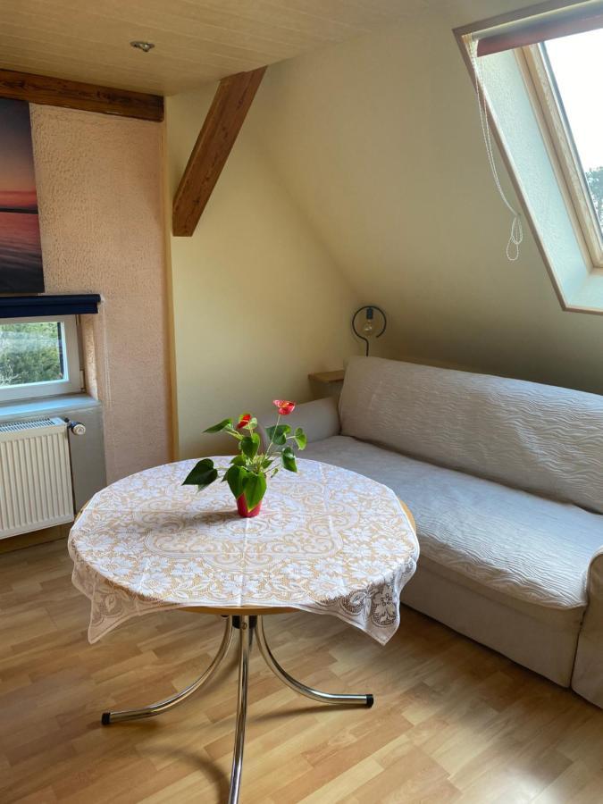 דרזדן Helles Und Charmantes Loft Mit Herrlichem Blick מראה חיצוני תמונה