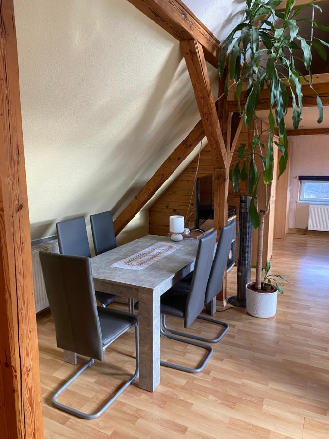 דרזדן Helles Und Charmantes Loft Mit Herrlichem Blick מראה חיצוני תמונה