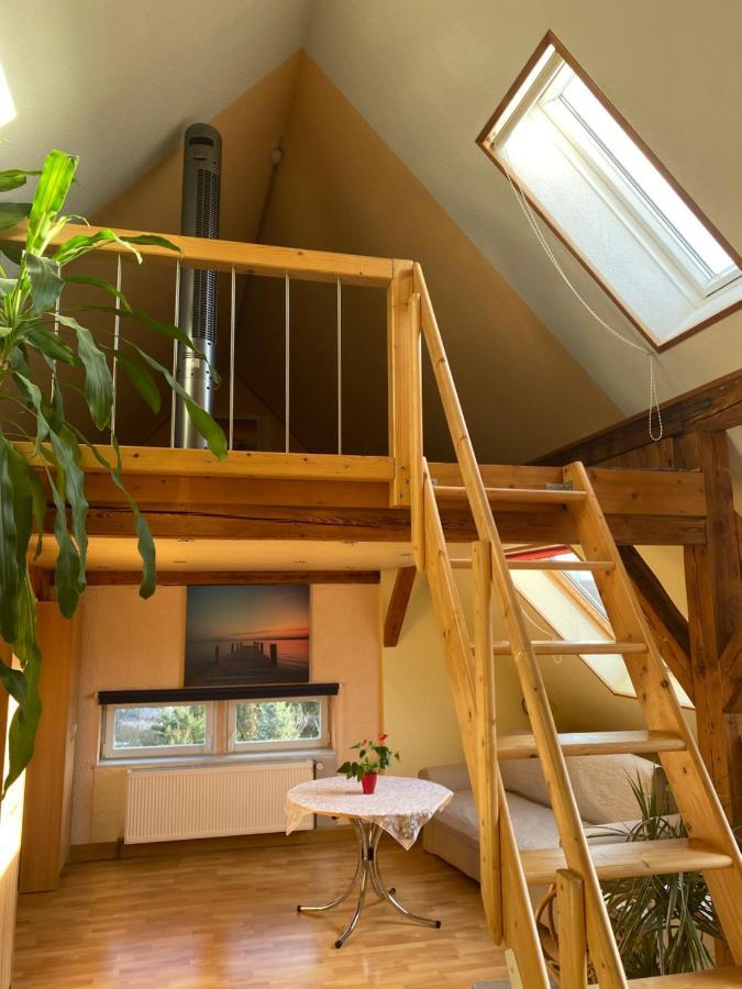 דרזדן Helles Und Charmantes Loft Mit Herrlichem Blick מראה חיצוני תמונה