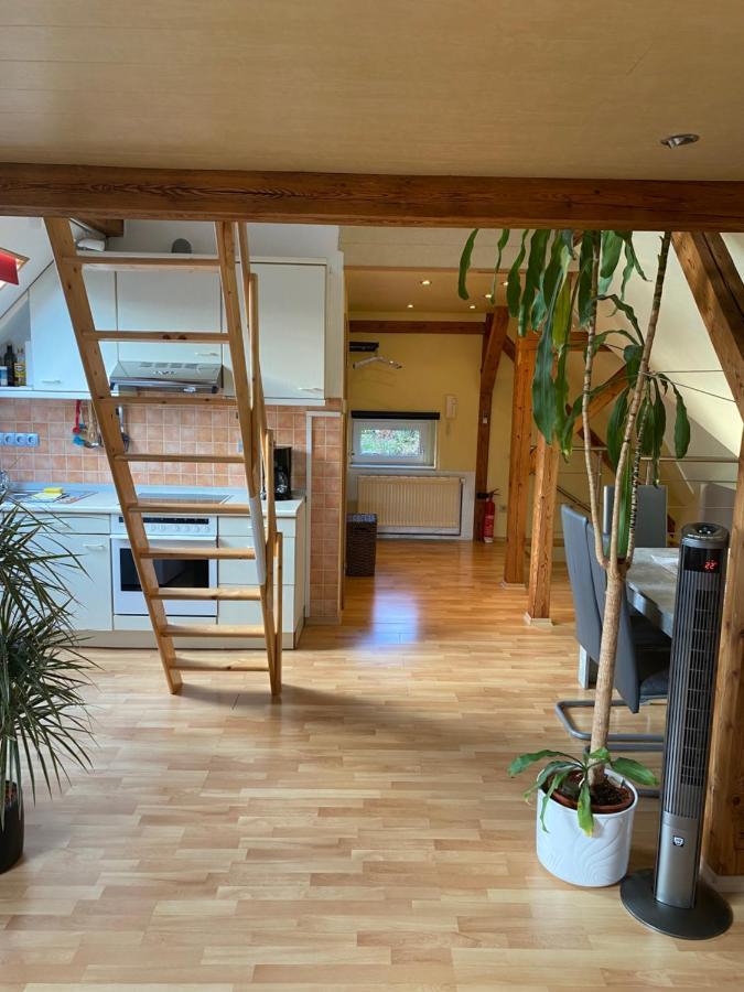 דרזדן Helles Und Charmantes Loft Mit Herrlichem Blick מראה חיצוני תמונה